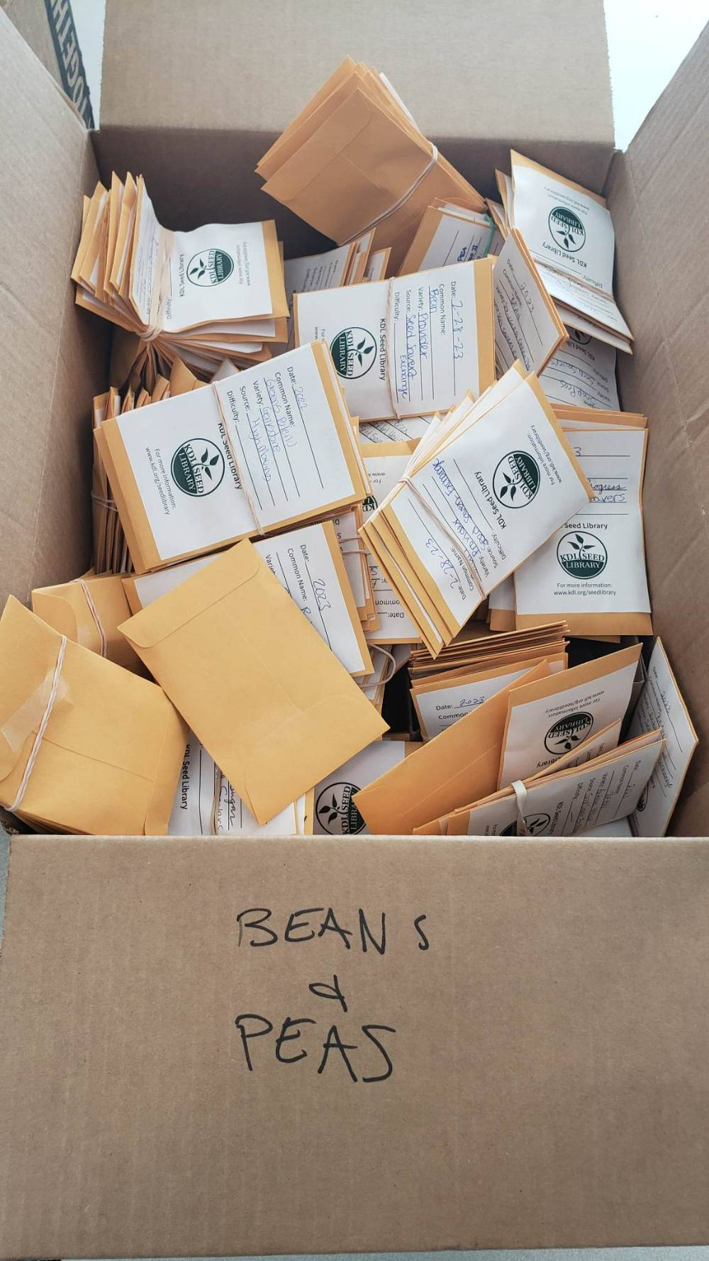 overflowing box of seed packets